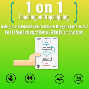 1-on-1 Dropshipping/eCommerce Consulting/Coaching